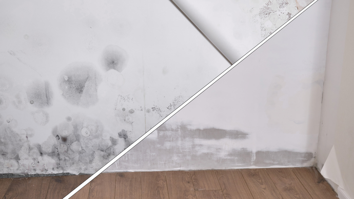 Wall with mold and a clean section after treatment, with wood floor.