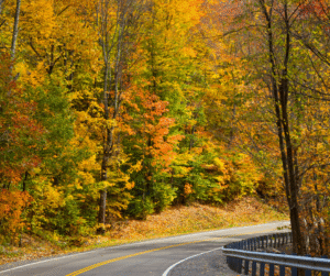 Winding road through forest with vibrant yellow, orange, and green autumn foliage.