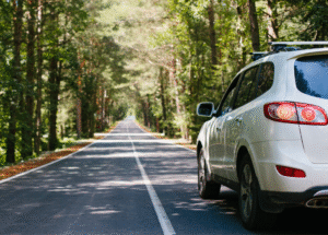 White SUV parked on a tree-lined road.
