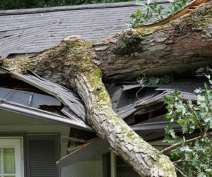 Tree branch fallen on a house roof, causing damage.