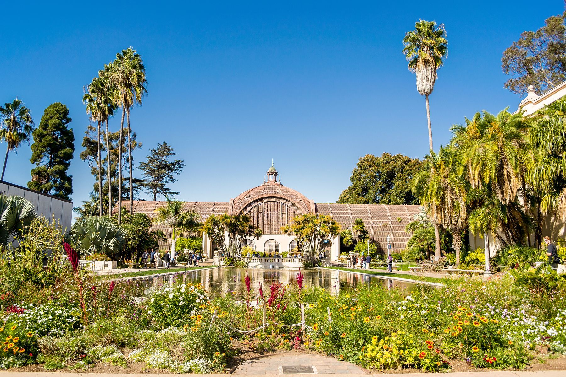A garden with flowers and palm trees in front of a building.