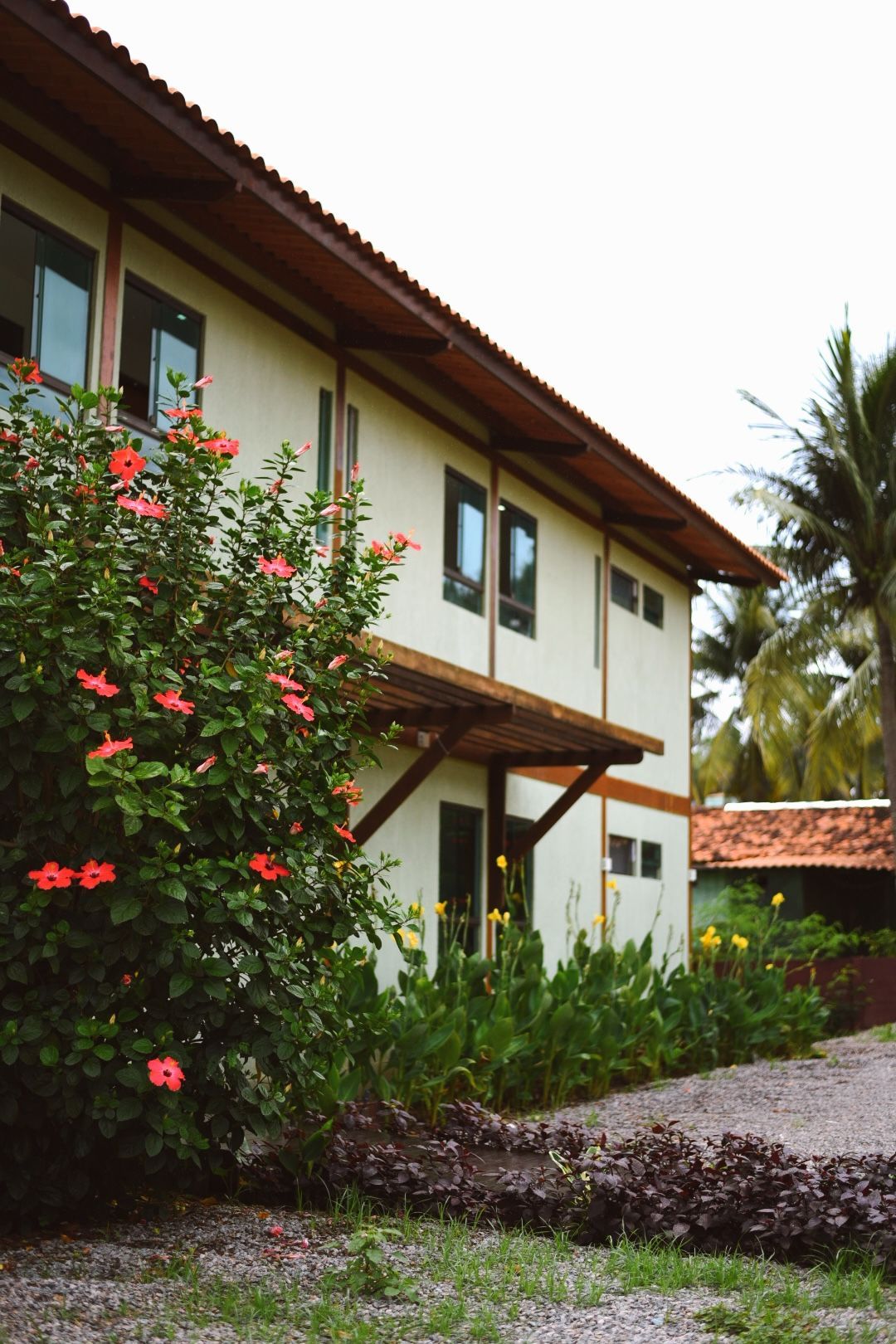 Uma casa com muitas janelas e flores na frente - Casa Pedrinho Noronha