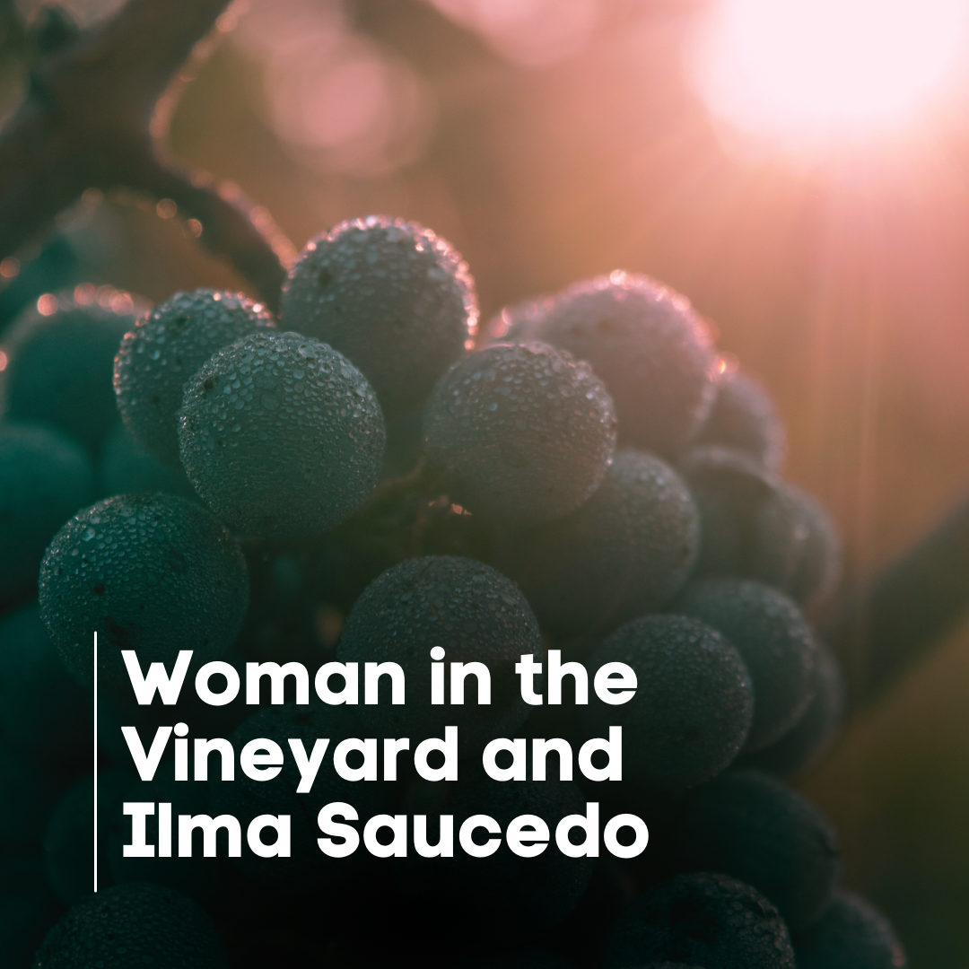 Woman in the Vineyard and Ilma J. Saucedo