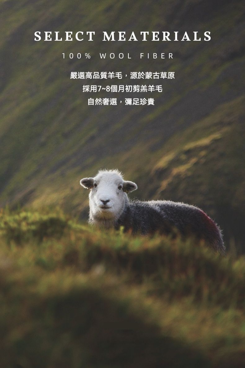 秋冬必備 新款韓系100%羊毛三角圍巾/披肩