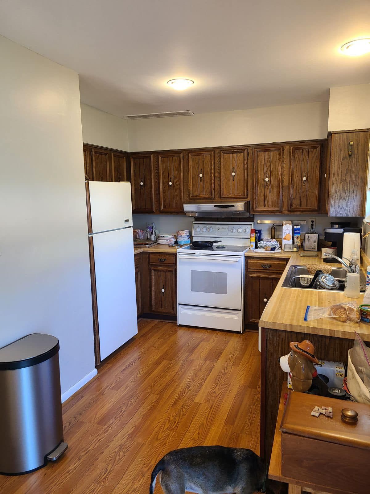Kitchen with wood cabinets, white appliances, and a hardwood floor. A dog is in the foreground.