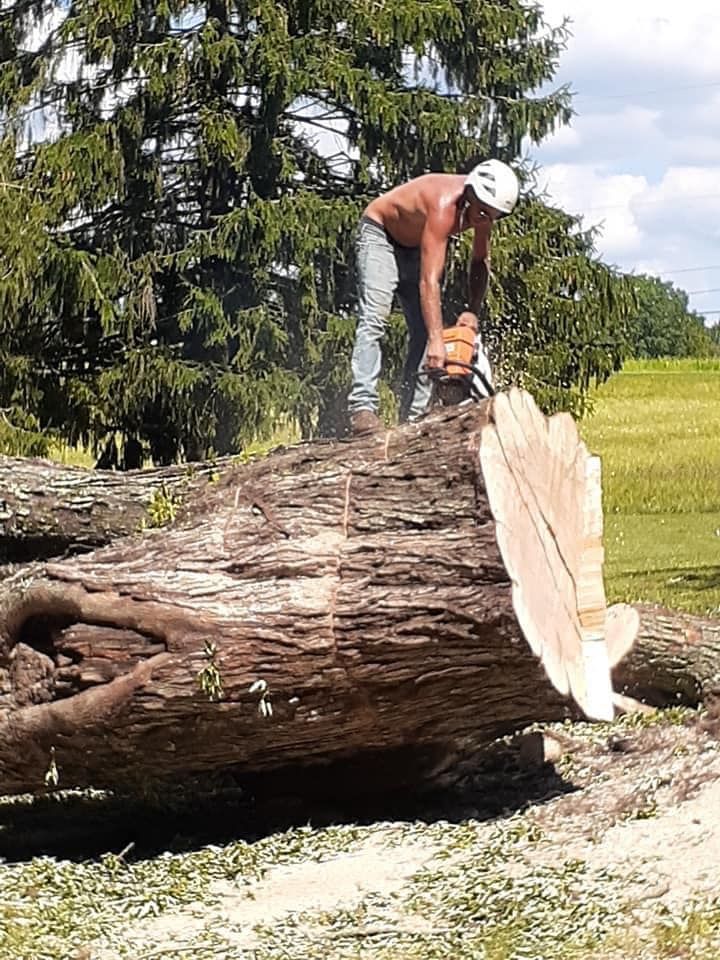 Enhanced Safety — Springfield, OH — C&S Tree Service Center