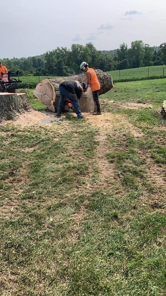 Increased Safety — Springfield, OH — C&S Tree Service Center