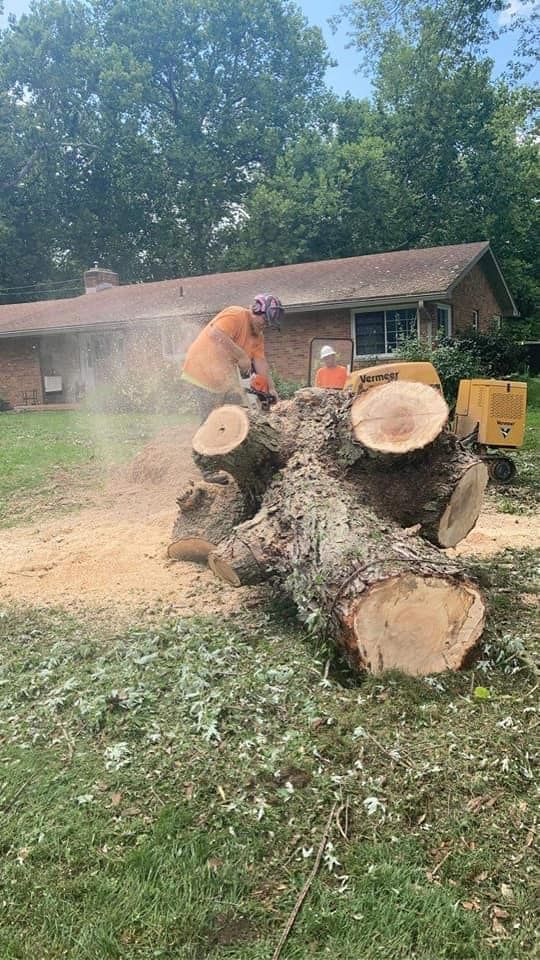 Using Chainsaw On Tree — Springfield, OH — C&S Tree Service Center