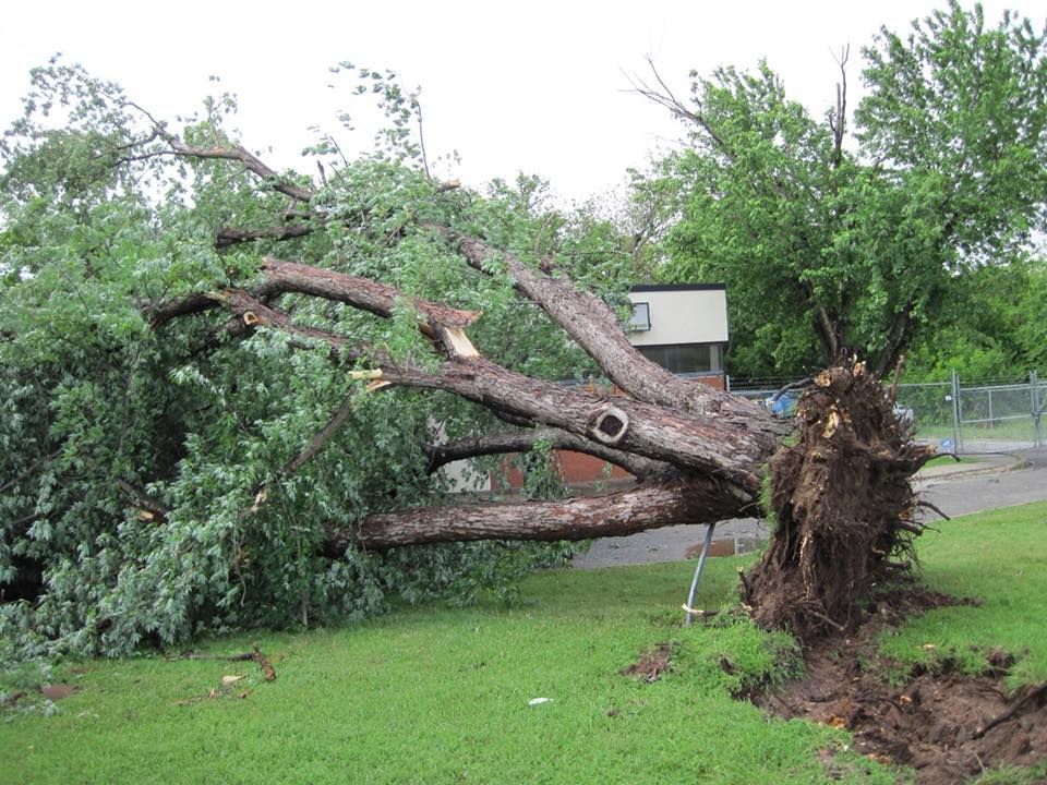 Thunderstorms Damage — Springfield, OH — C&S Tree Service Center