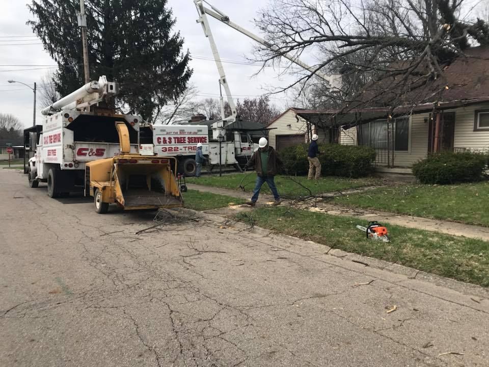 Workers Wearing Hard Hat — Springfield, OH — C&S Tree Service Center