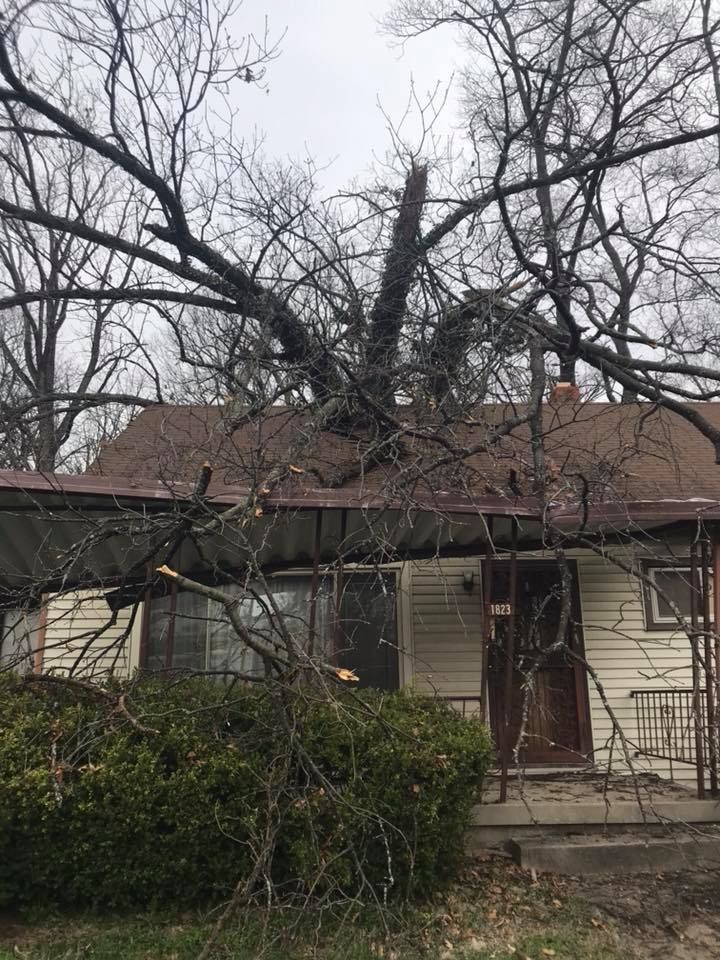 Tree On The Roof — Springfield, OH — C&S Tree Service Center