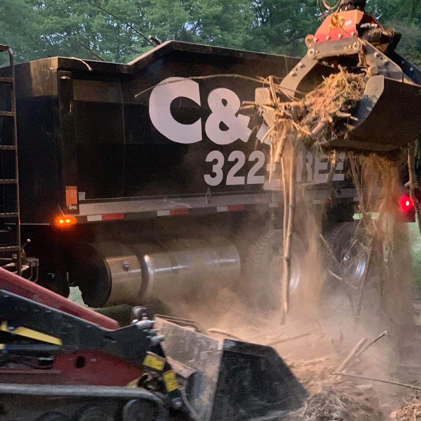 Stump Grinding & Removal — Springfield, OH — C&S Tree Service Center