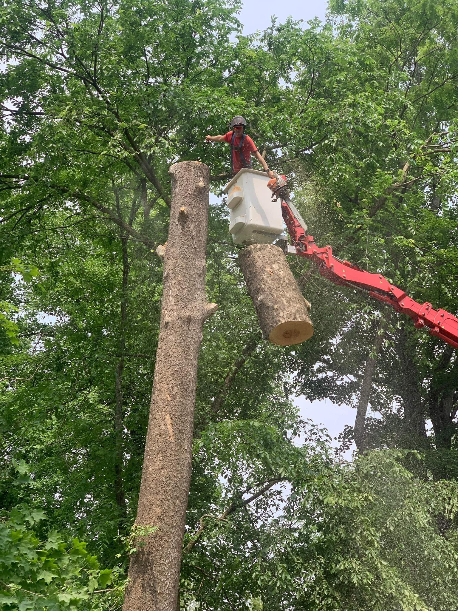 Man On The Lifter Throwing Tree Trunks — Springfield, OH — C&S Tree Service Center