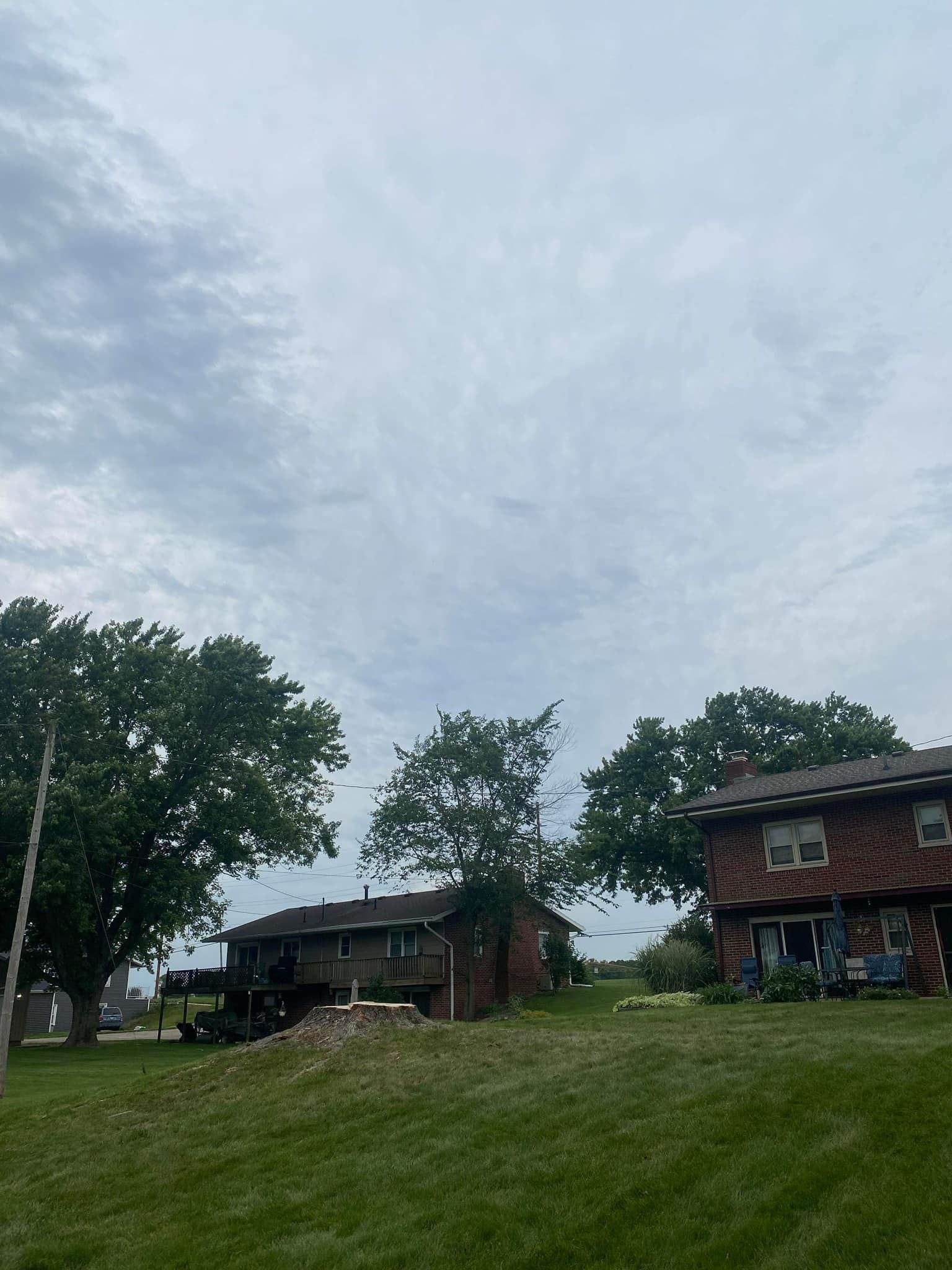 Two Big Houses — Springfield, OH — C&S Tree Service Center