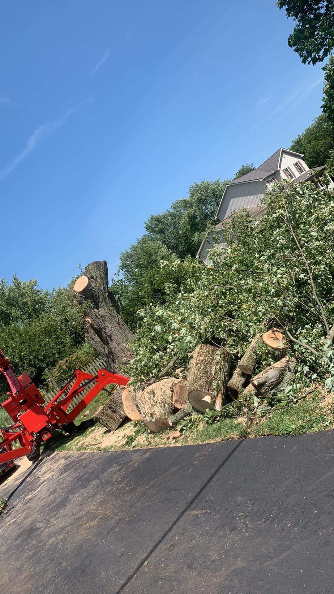 Tree With Cut Trunks — Springfield, OH — C&S Tree Service Center
