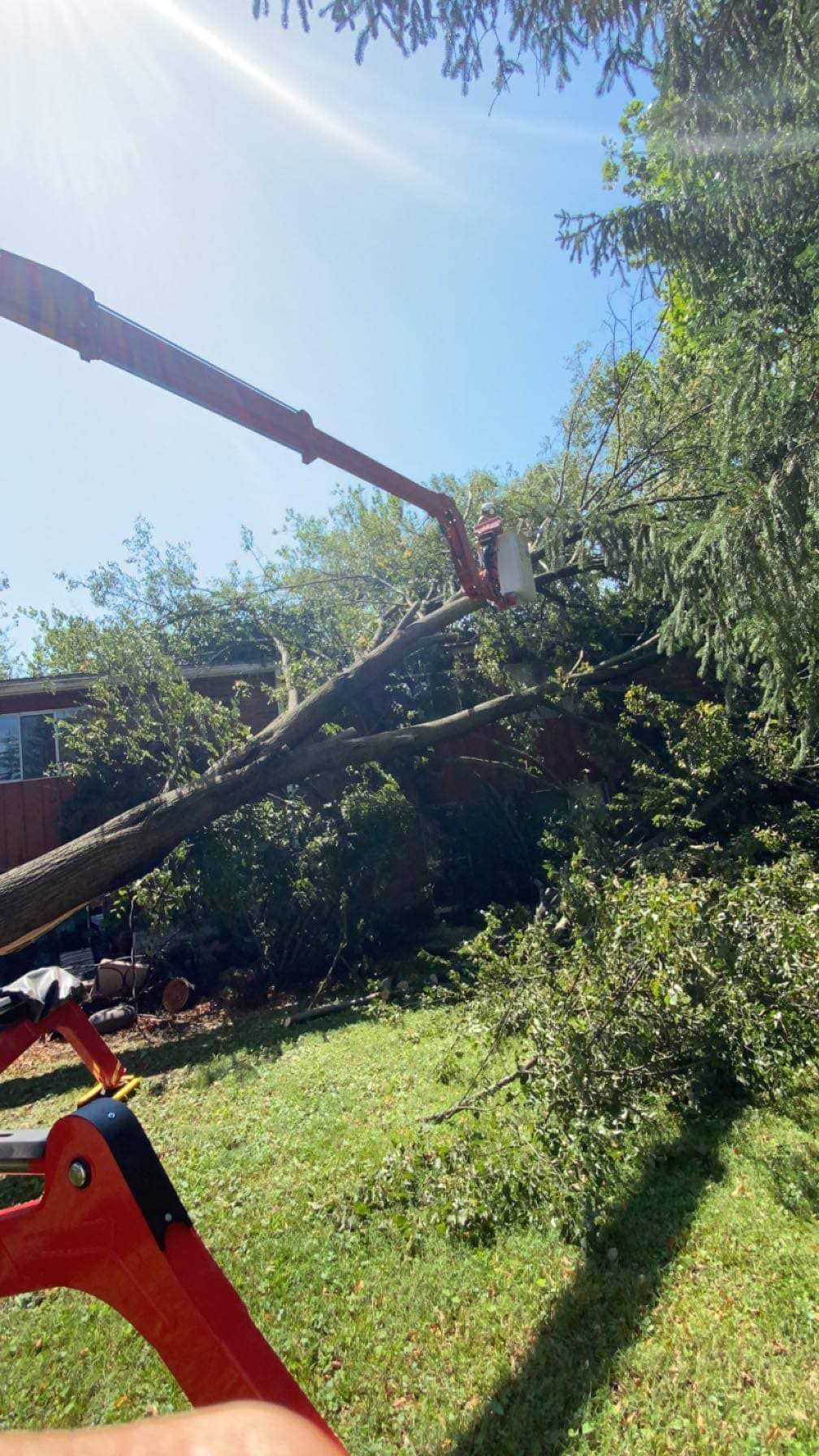 Hurricanes Damage — Springfield, OH — C&S Tree Service Center