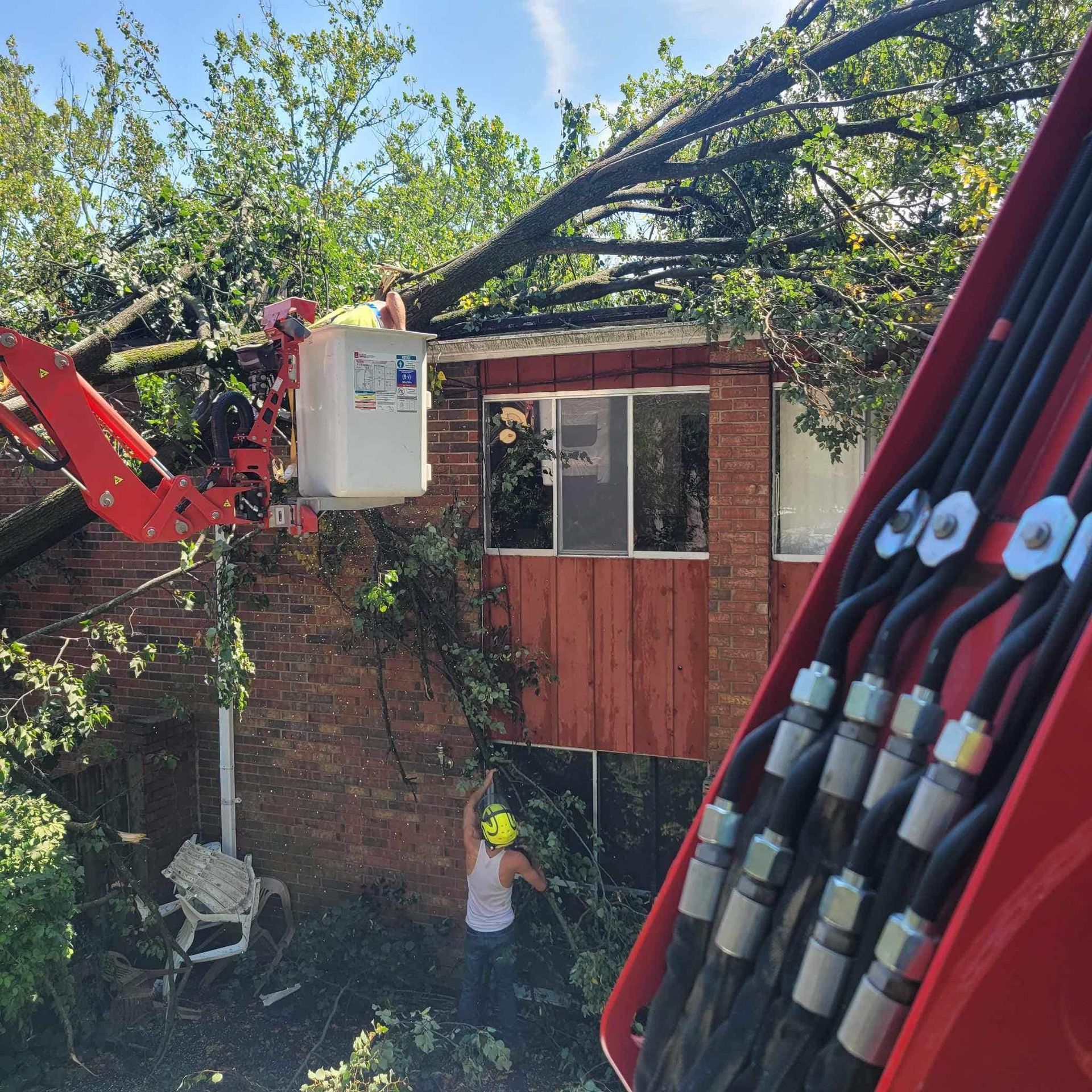 Storm Damage — Springfield, OH — C&S Tree Service Center