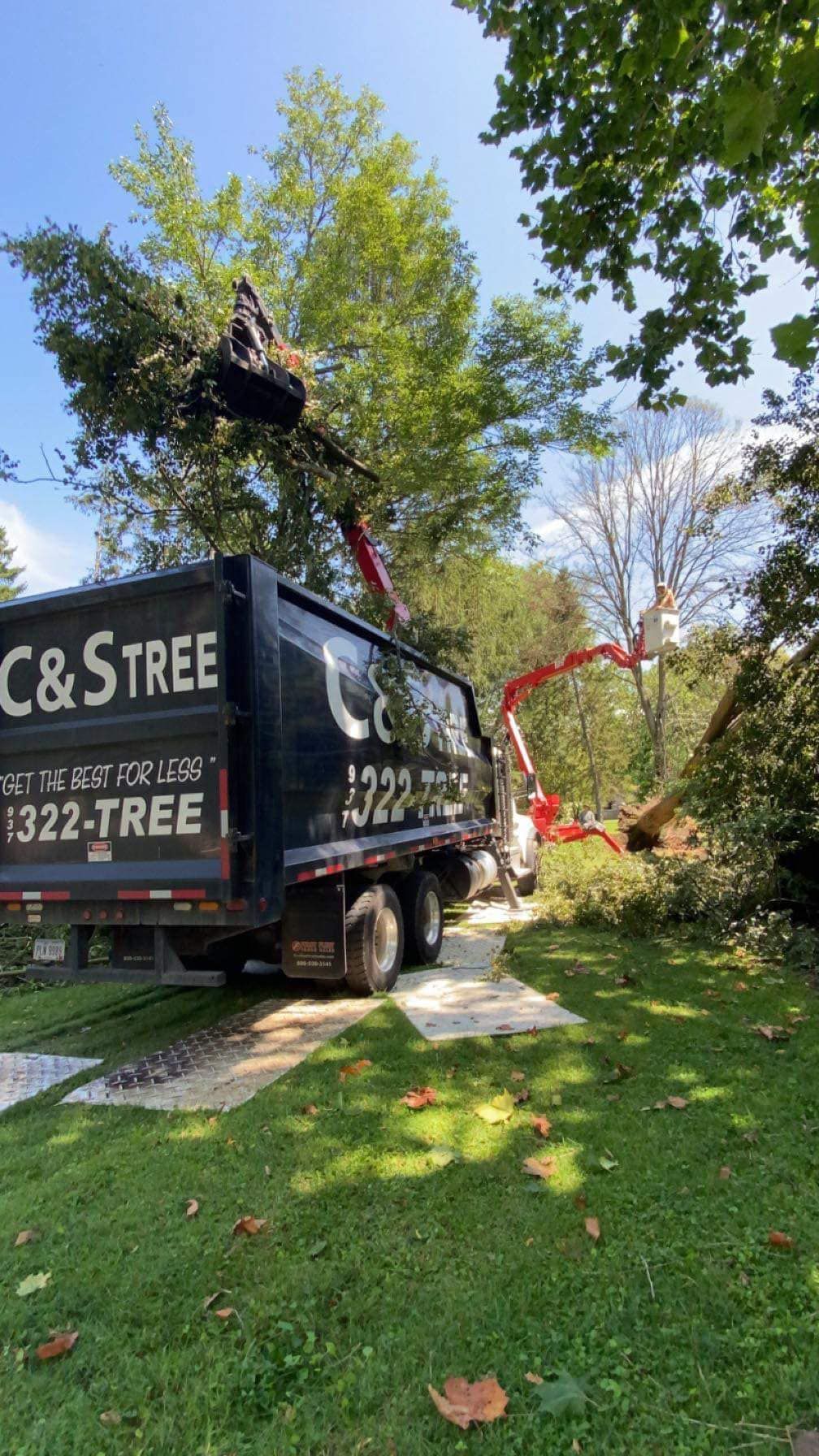 Black Truck Collecting Tree Branches — Springfield, OH — C&S Tree Service Center