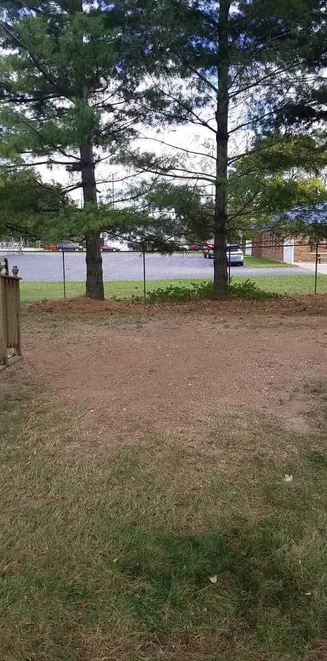 More Space — Springfield, OH — C&S Tree Service Center