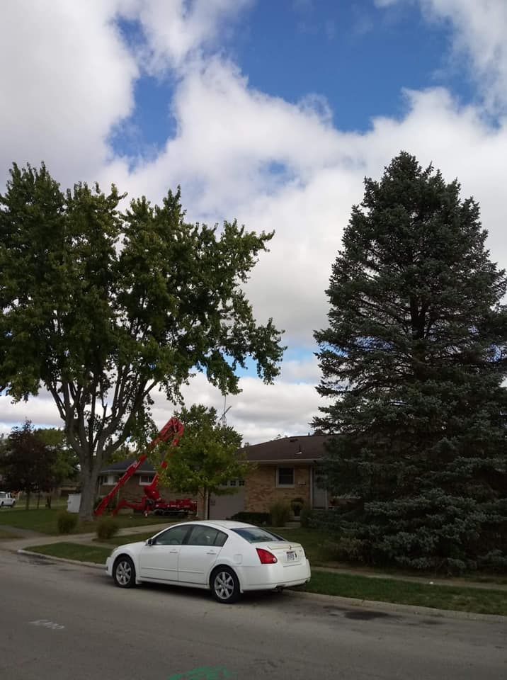 Pest Prevention — Springfield, OH — C&S Tree Service Center