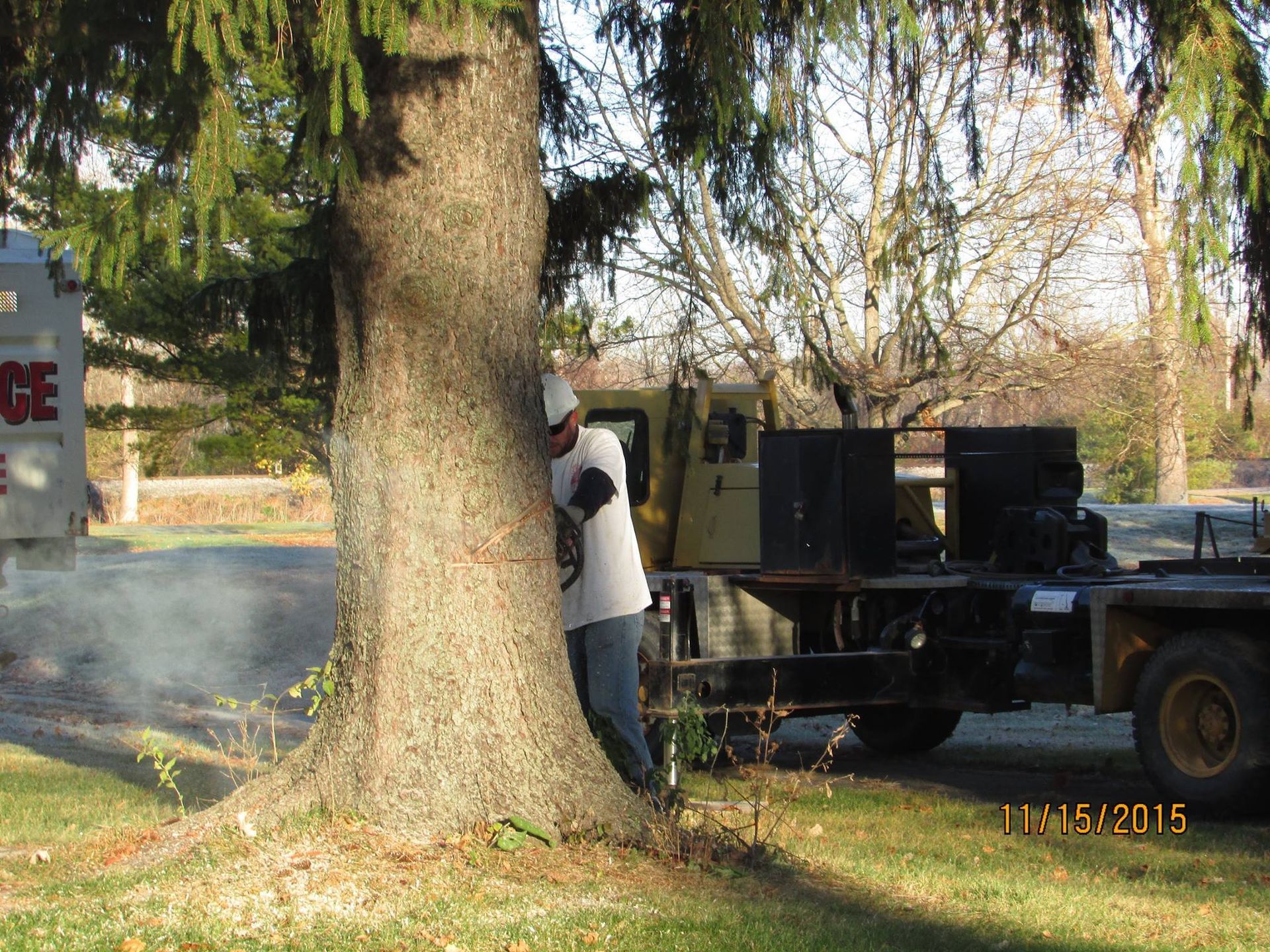 Cutting Down A Tree — Springfield, OH — C&S Tree Service Center