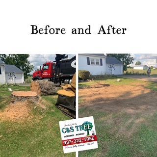 Tree With Cut Trunks — Springfield, OH — C&S Tree Service Center