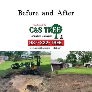 Tree With Cut Trunks — Springfield, OH — C&S Tree Service Center
