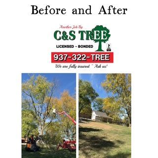 Tree With Cut Trunks — Springfield, OH — C&S Tree Service Center
