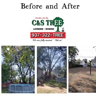 Tree With Cut Trunks — Springfield, OH — C&S Tree Service Center