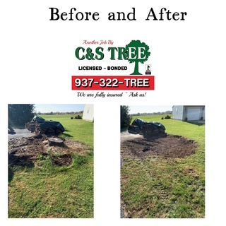 Tree With Cut Trunks — Springfield, OH — C&S Tree Service Center