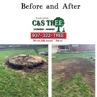 Tree With Cut Trunks — Springfield, OH — C&S Tree Service Center