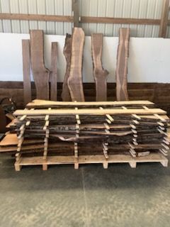 Tree With Cut Trunks — Springfield, OH — C&S Tree Service Center