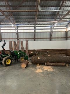 Tree With Cut Trunks — Springfield, OH — C&S Tree Service Center