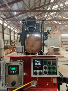 Tree With Cut Trunks — Springfield, OH — C&S Tree Service Center
