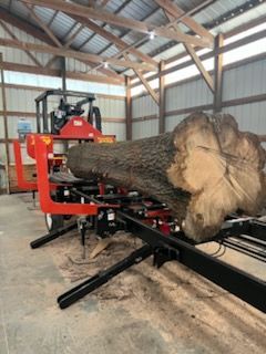 Tree With Cut Trunks — Springfield, OH — C&S Tree Service Center