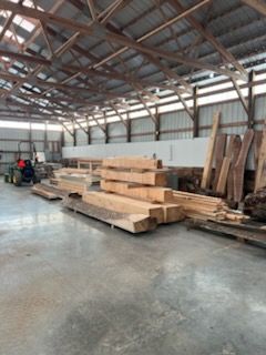 Tree With Cut Trunks — Springfield, OH — C&S Tree Service Center