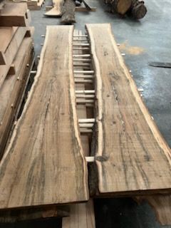 Tree With Cut Trunks — Springfield, OH — C&S Tree Service Center
