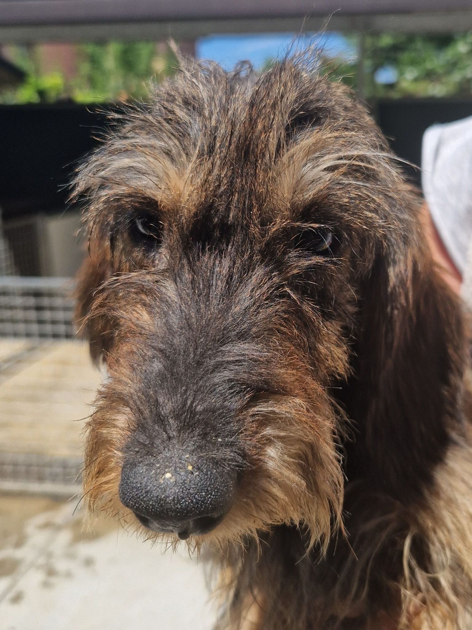 La Madre: Chilly della Canterana