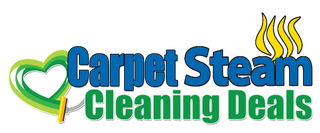 steam carpet cleaner