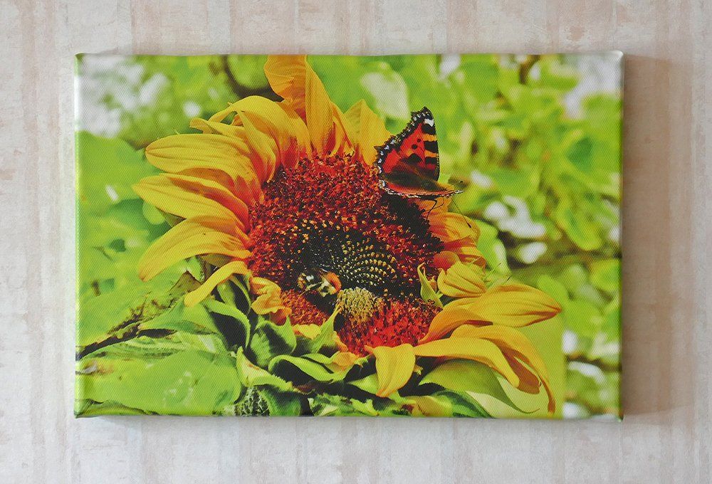 Butterfly and Bumblebee on Sunflower