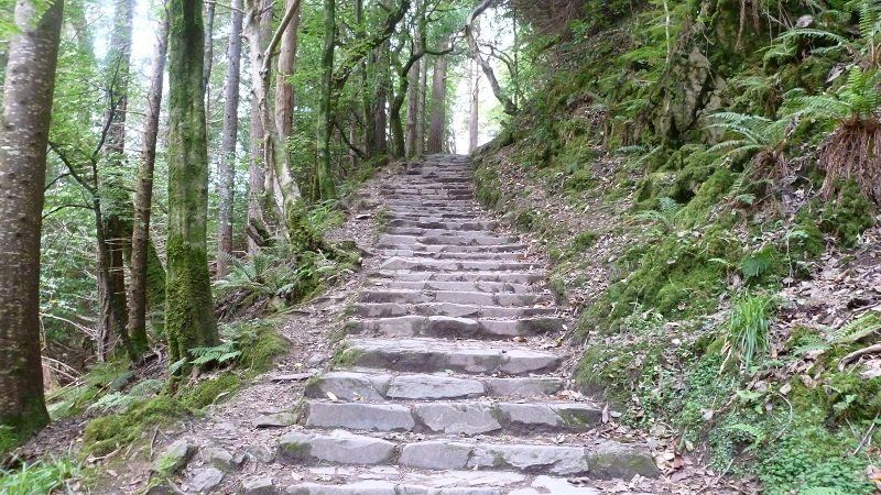 Steps at Torc Waterfall