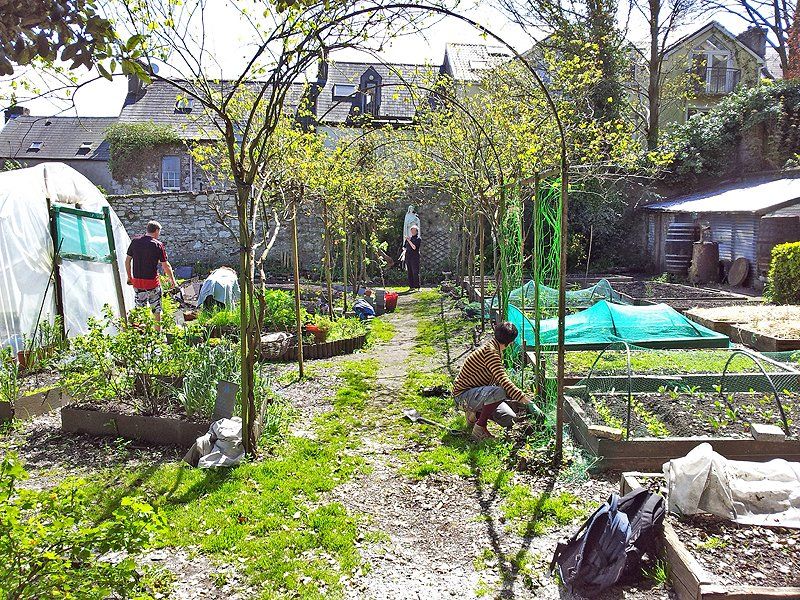 Community Garden at South Pres, Cork