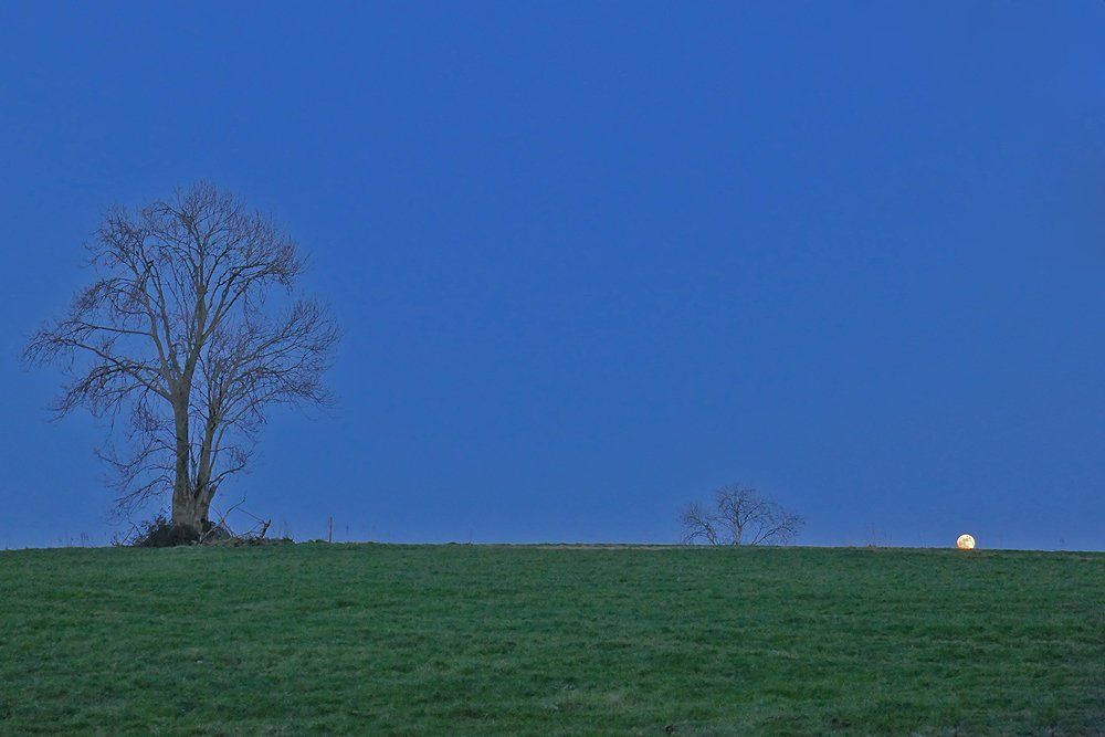 Full Moon Rising