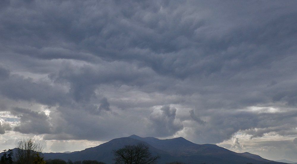 Storm Brewing