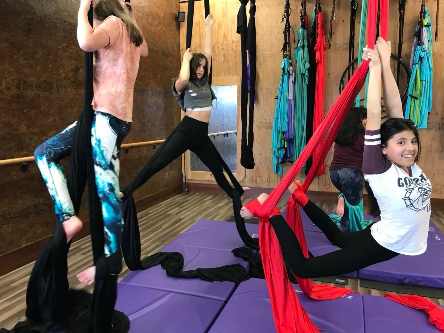 People practicing aerial yoga on silk hammocks in a studio with purple mats and a wooden wall.