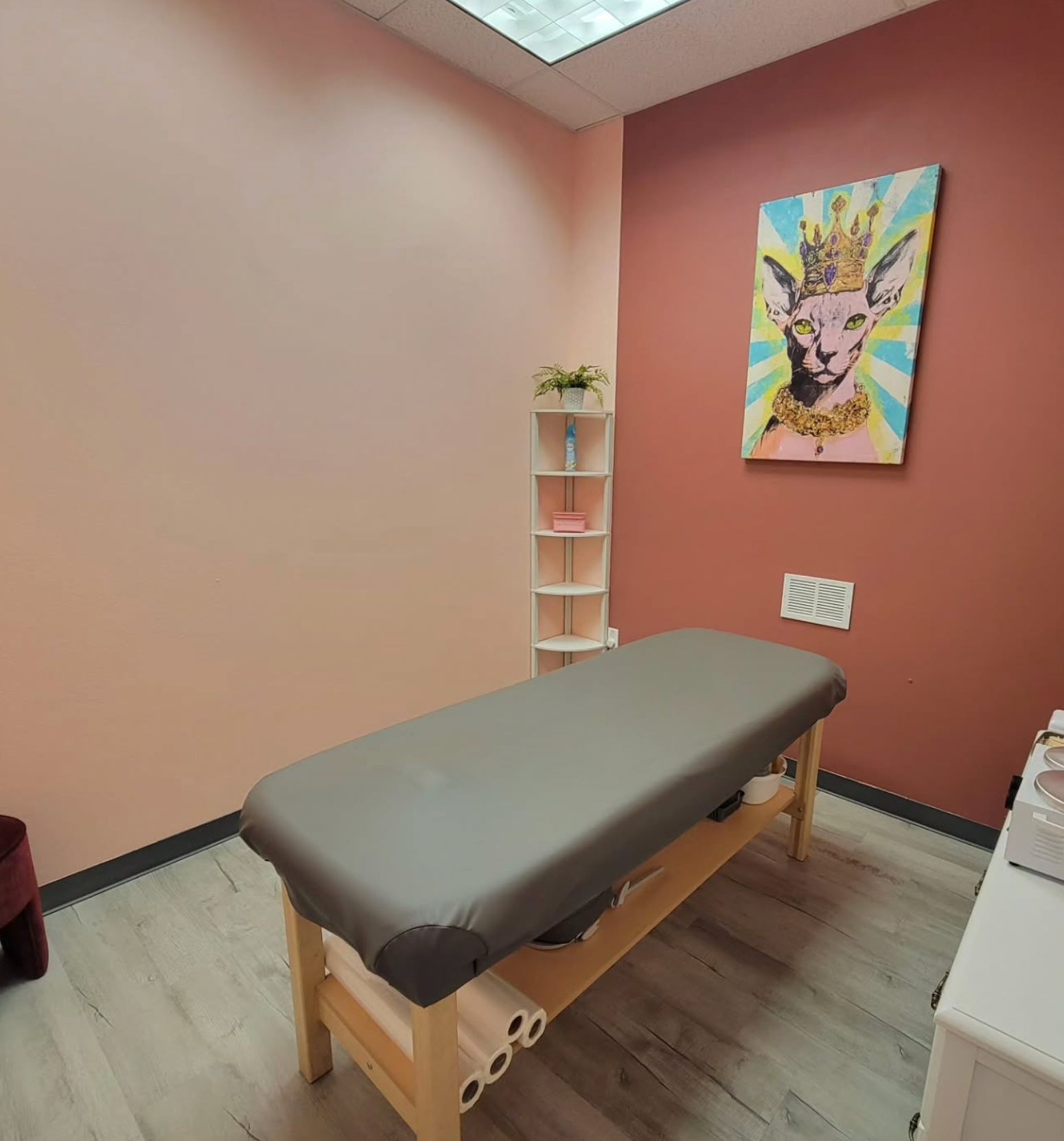 Massage room with massage table, art, and shelves against pink and red walls. Level Up Falcon