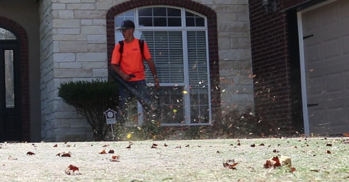 Seasonal Leaf Removal Service In Northwest Arkansas
