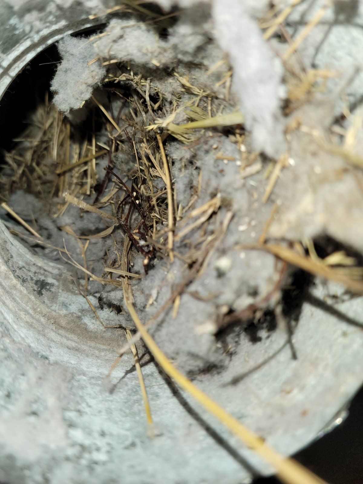 Dusty Exhaust Duct — Springfield, MA — Advanced Air Quality, Inc.