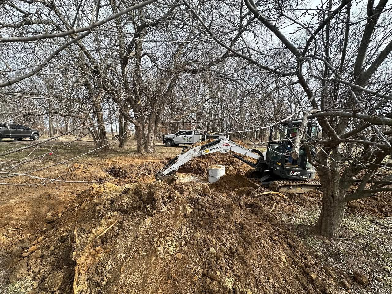 A bulldozer is digging a hole in the dirt in a forest.