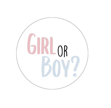 Sticker | Girl or Boy? | 5 stuks